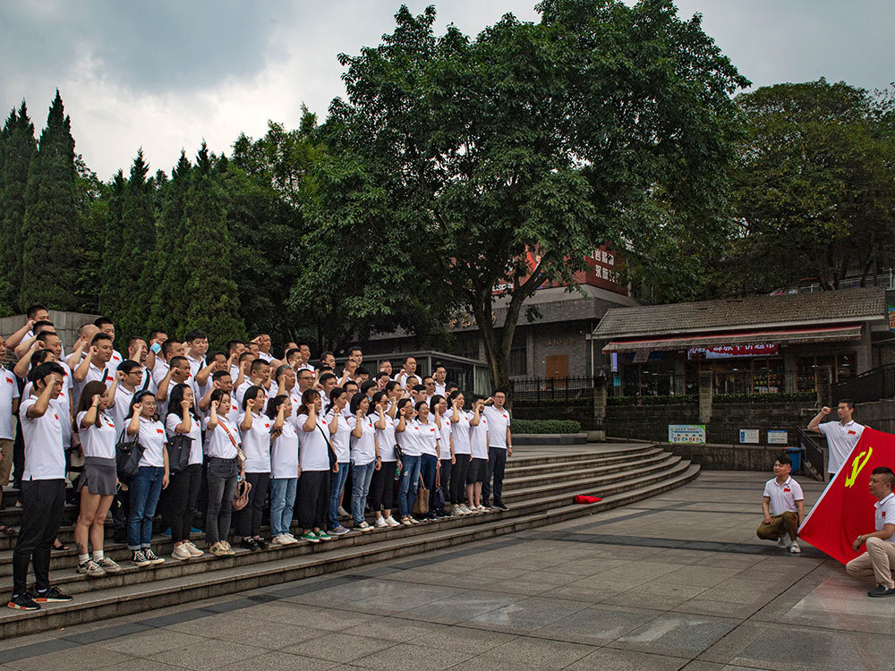 黨員(yuán)宣誓----重溫入黨誓詞